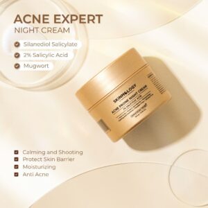 Acne expert night cream